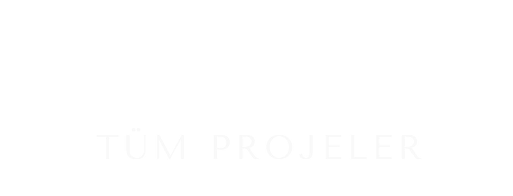 Tüm Projeler